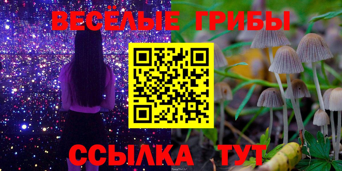 Галлюциногенные грибы мухоморы Арсеньев
