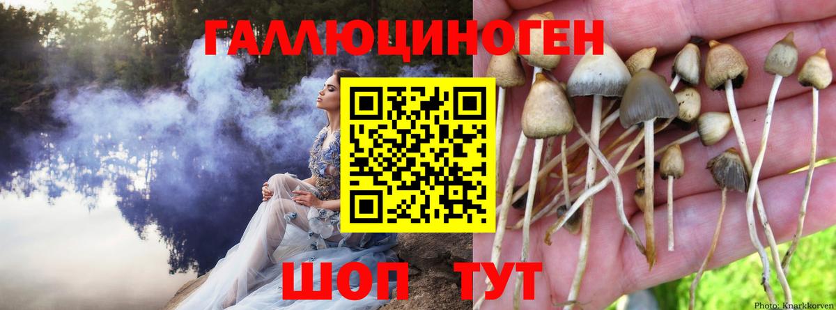купить   Вход с VPN  Галлюциногенные грибы GOLDEN TEACHER  Арсеньев  Галлюциногенные грибы ЛСД 